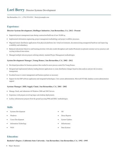 Director Systems Development Resume