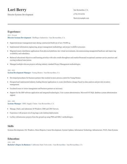 Director Systems Development Resume