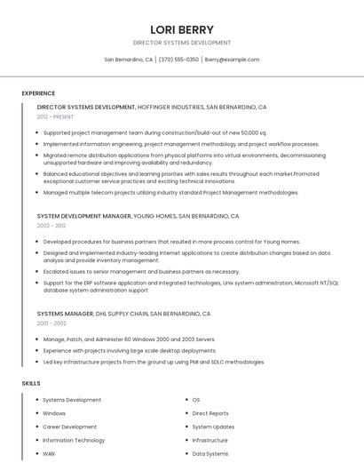 Director Systems Development Resume