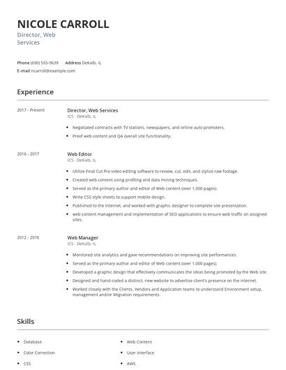Director, Web Services Resume