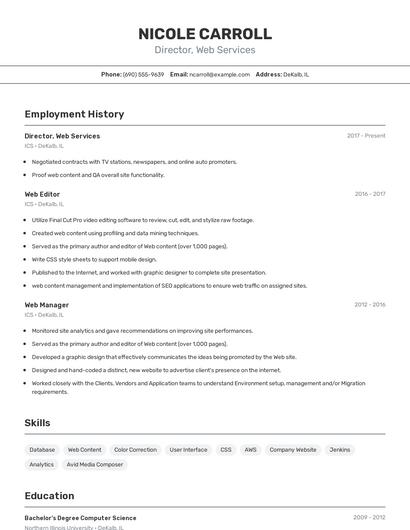 Director, Web Services Resume