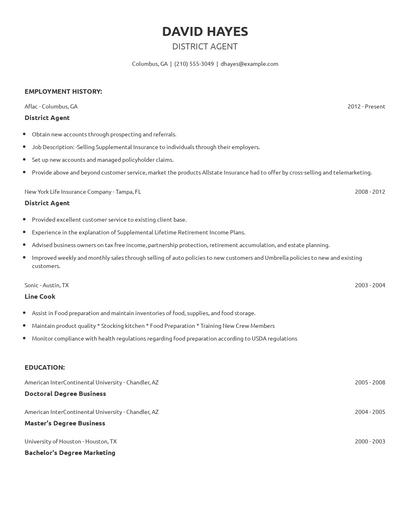 District Agent Resume