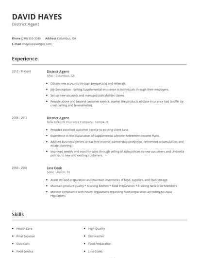 District Agent Resume