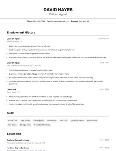 District Agent Resume