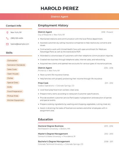 District Agent Resume