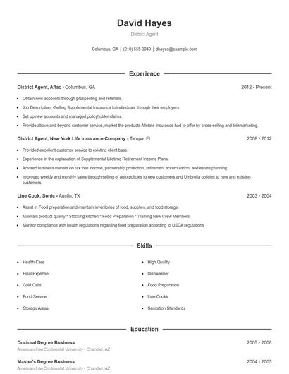 District Agent Resume