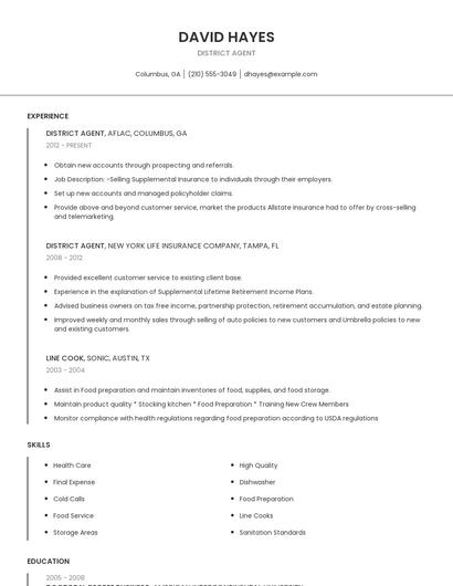 District Agent Resume