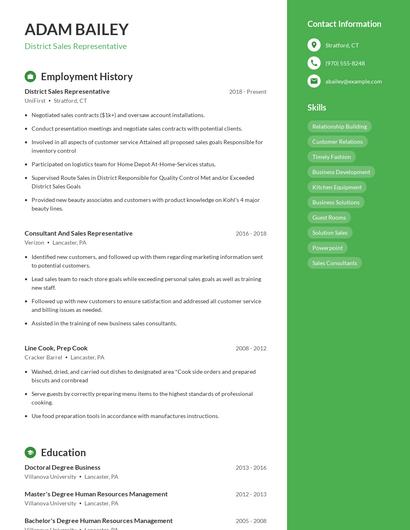 District Sales Representative Resume