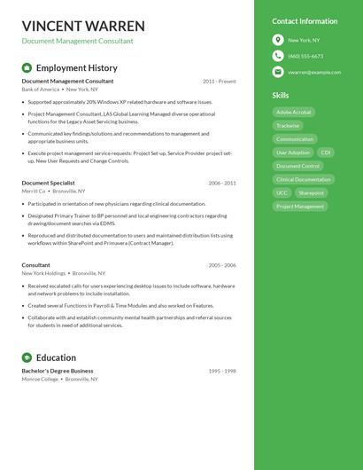 Document Management Consultant Resume