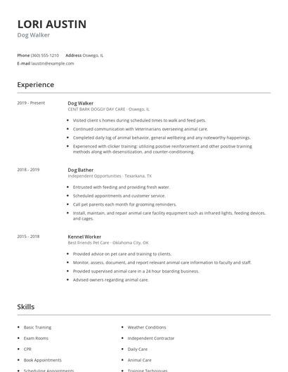 Dog Walker Resume