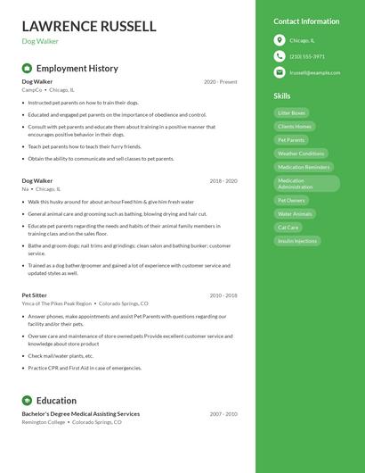 Dog Walker Resume