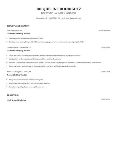 Domestic Laundry Worker Resume