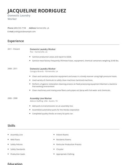 Domestic Laundry Worker Resume