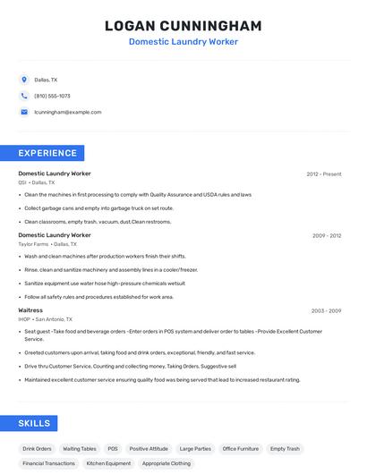 Domestic Laundry Worker Resume