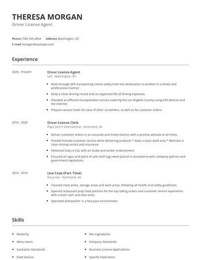 Driver License Agent Resume