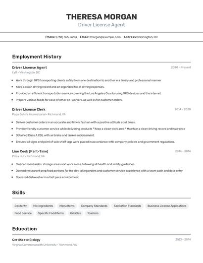 Driver License Agent Resume