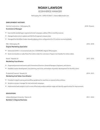 Ecommerce Manager Resume