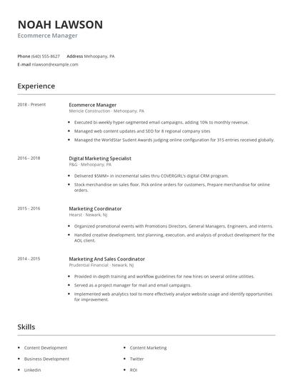 Ecommerce Manager Resume
