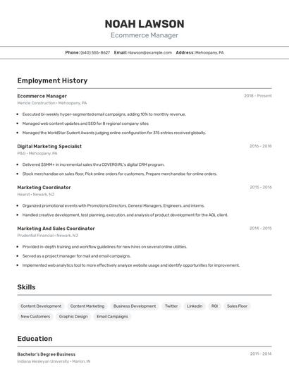 Ecommerce Manager Resume