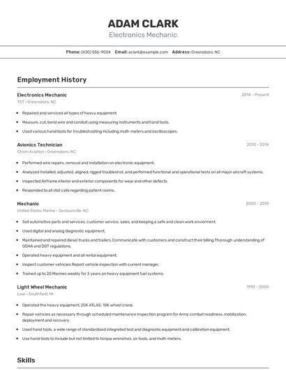 Electronics Mechanic Resume