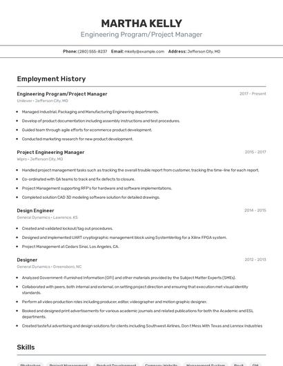 Engineering Program/Project Manager Resume