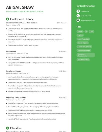 Environmental Health And Safety Director Resume