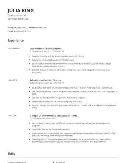 Environmental Services Director Resume
