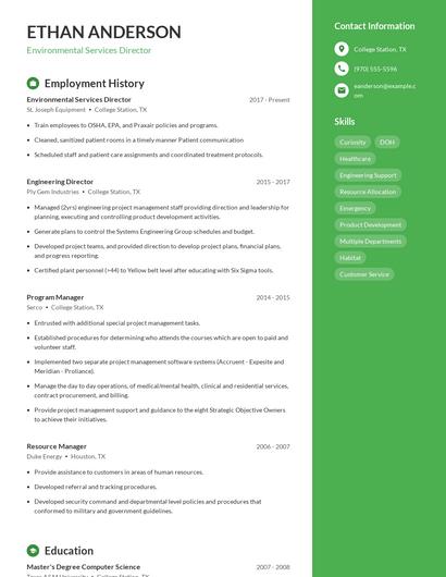 Environmental Services Director Resume