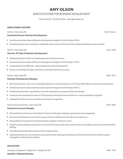 Executive Director Business Development Resume