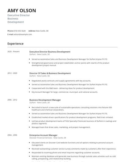 Executive Director Business Development Resume