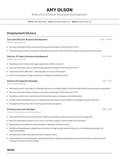 Executive Director Business Development Resume