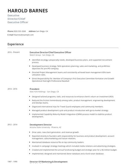 Executive Director/Chief Executive Officer Resume