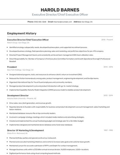 Executive Director/Chief Executive Officer Resume