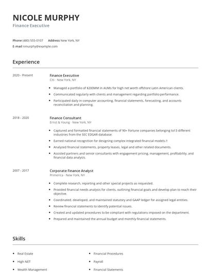 Finance Executive Resume
