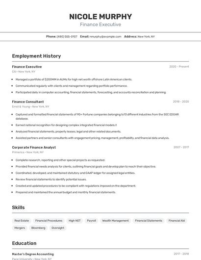 Finance Executive Resume