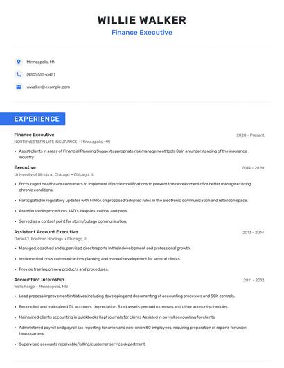 Finance Executive Resume