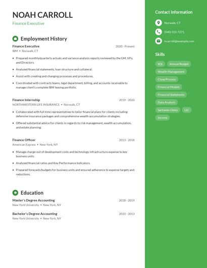 Finance Executive Resume