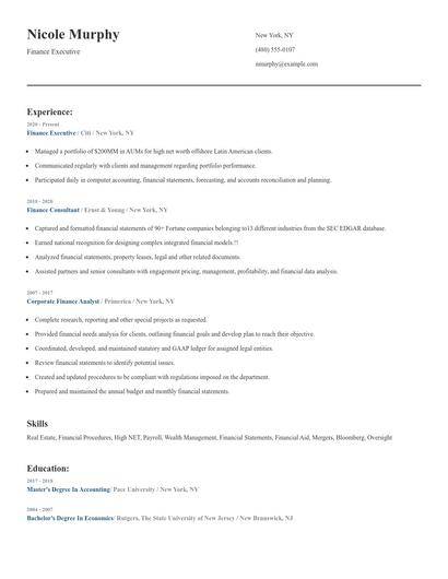 Finance Executive Resume