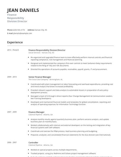 Finance Responsibility Division Director Resume