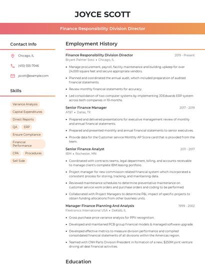 Finance Responsibility Division Director Resume