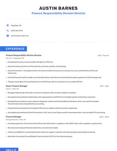 Finance Responsibility Division Director Resume