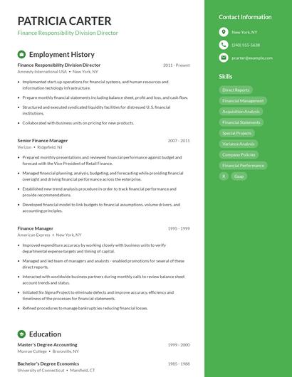 Finance Responsibility Division Director Resume