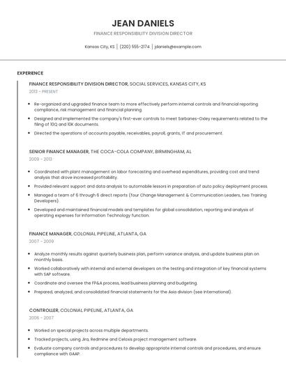 Finance Responsibility Division Director Resume