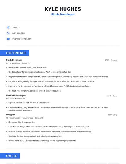 Flash Developer Resume