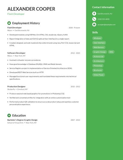 Flash Developer Resume