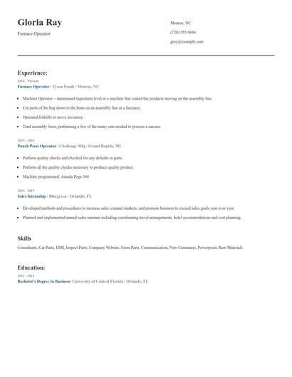 Furnace Operator Resume