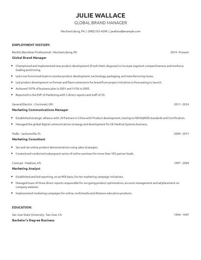 Global Brand Manager Resume