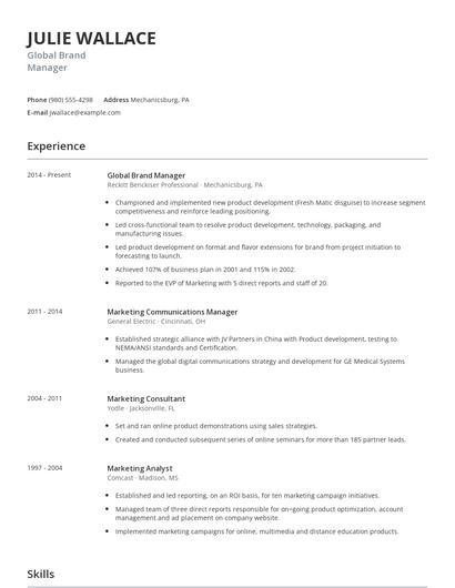 Global Brand Manager Resume