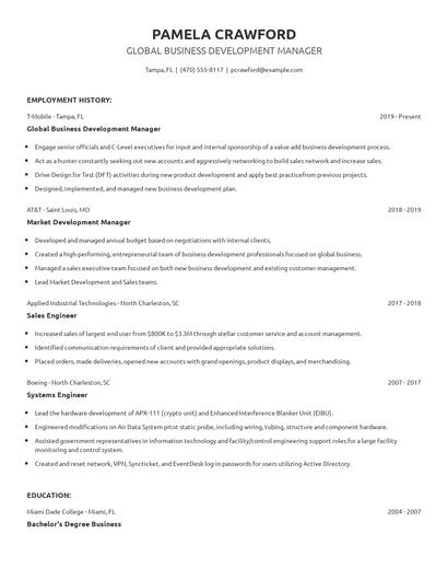 Global Business Development Manager Resume