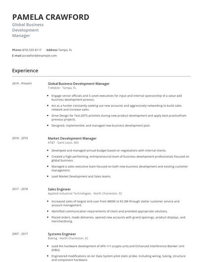 Global Business Development Manager Resume